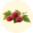 Raspberry Leaf