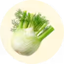 Fennel